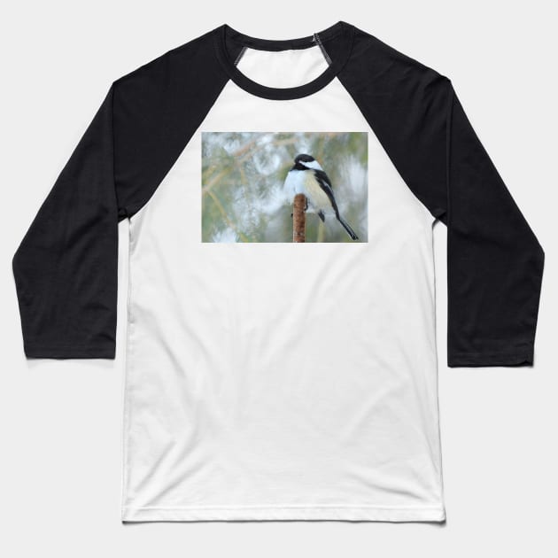 Bird watching... Baseball T-Shirt by LaurieMinor